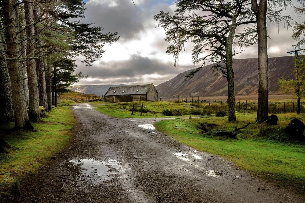 Osprey Apartment Kingussie Dış mekan fotoğraf
