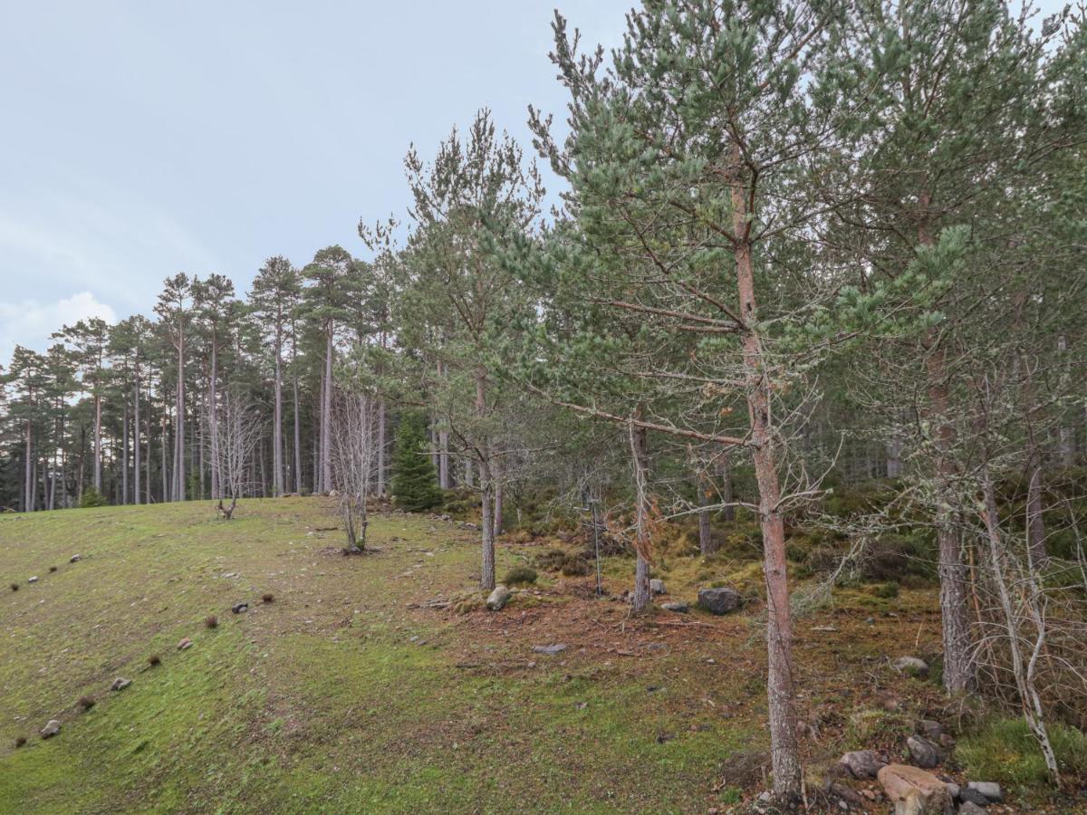 Osprey Apartment Kingussie Dış mekan fotoğraf
